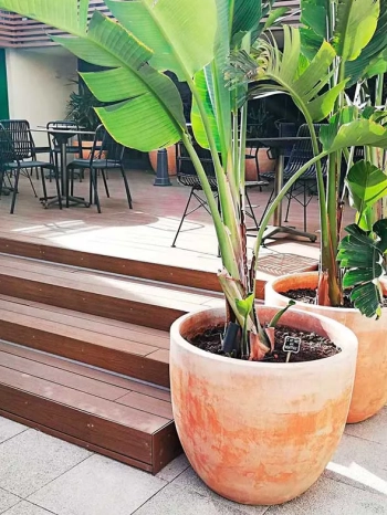 Terraza del Hotel Tryp Apolo